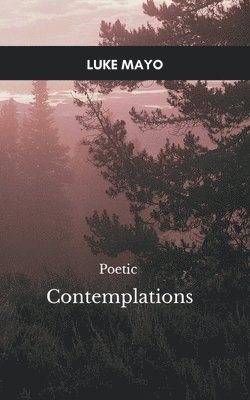 bokomslag Poetic Contemplations, A Meditative Meandering through a World of Thoughts