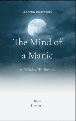 The Mind of a Manic A Window To The Soul 1