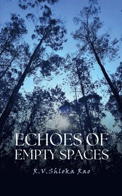 Echoes Of Empty Spaces 1