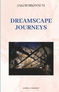bokomslag Dreamscape Journeys