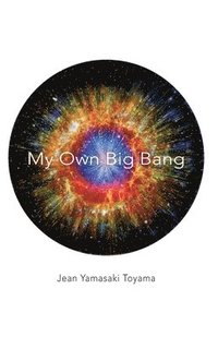 bokomslag My Own Big Bang