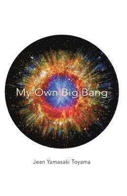 bokomslag My Own Big Bang