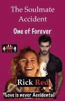 bokomslag The Soulmate Accident - One of Forever