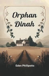 bokomslag Orphan Dinah (Edition2024)