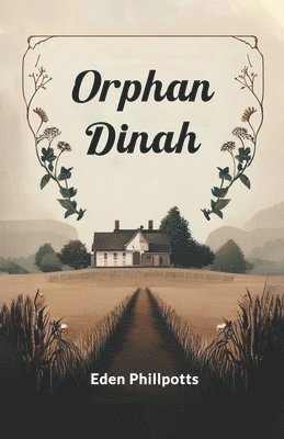 bokomslag Orphan Dinah (Edition2024)