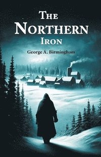 bokomslag Northern Iron (Edition2024)