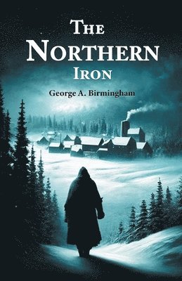 bokomslag Northern Iron (Edition2024)