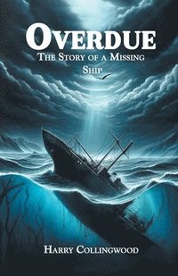 bokomslag OverdueThe Story of a Missing Ship (Edition2024)