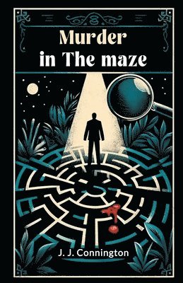 bokomslag Murder in the maze (Edition2024)