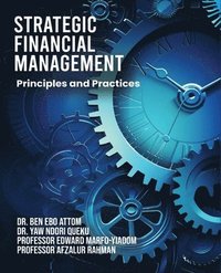 bokomslag Strategic Financial Management: Principles and Practices