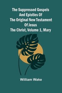 bokomslag suppressed Gospels and Epistles of the original New Testament of Jesus the Christ, Volume 1, Mary
