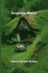 bokomslag Surprise house