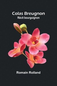 bokomslag Colas Breugnon: Récit bourguignon