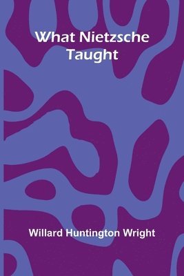 bokomslag What Nietzsche Taught