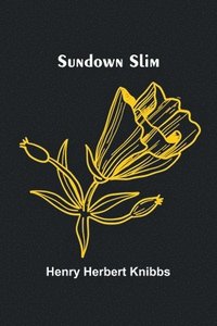 bokomslag Sundown Slim