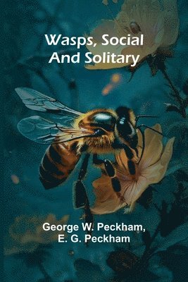 bokomslag Wasps, Social And Solitary