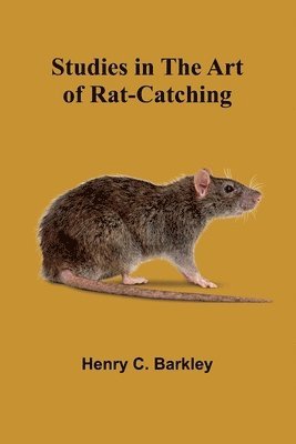 bokomslag Studies in the Art of Rat-catching