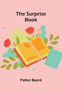 bokomslag Surprise Book