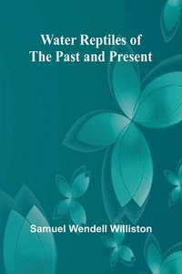 bokomslag Water Reptiles Of The Past And Present