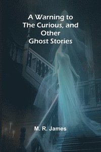 bokomslag Warning to the Curious, and Other Ghost Stories