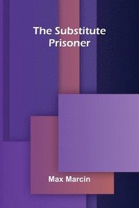 bokomslag Substitute Prisoner