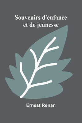 bokomslag Souvenirs d'enfance et de jeunesse