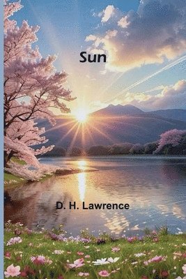 D H Lawrence - Sun, Häftad