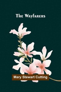bokomslag Wayfarers