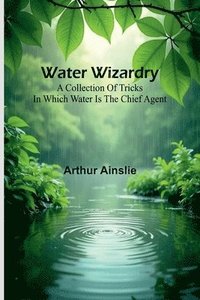 bokomslag Water Wizardry