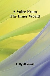 bokomslag Voice from the inner world
