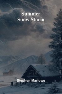 bokomslag Summer Snow Storm