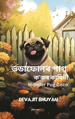 Wonder Pug Coco 1