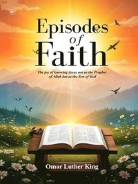 bokomslag Episodes of Faith
