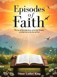 bokomslag Episodes of Faith