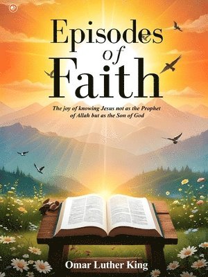 bokomslag Episodes of Faith