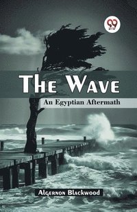 bokomslag Wave an Egyptian Aftermath