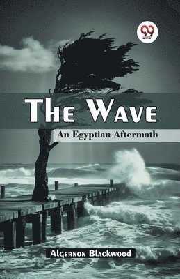 bokomslag Wave an Egyptian Aftermath