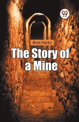 Bret Harte - Story of a Mine, Häftad