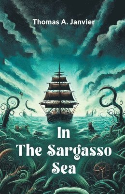 bokomslag In the Sargasso Sea