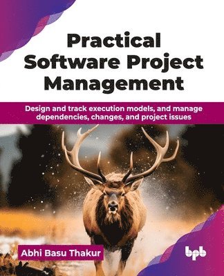 bokomslag Practical Software Project Management