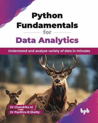 bokomslag Python Fundamentals for Data Analytics