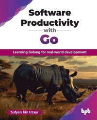 bokomslag Software Productivity with Go: Learning Golang for real-world development (English Edition)