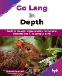 bokomslag Go Lang in Depth: Guide to program microservices, networking, database and APIs using Go Lang (English Edition)