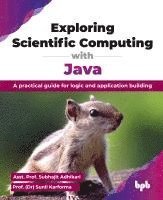 bokomslag Exploring Scientific Computing with Java