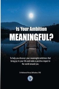 bokomslag Is Your Ambition Meaningful?: To help you discover your meaningful ambitions that bring joy to your life and make a positive impact in the world aro