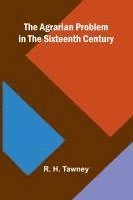bokomslag The Agrarian Problem in the Sixteenth Century