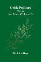 bokomslag Celtic Folklore