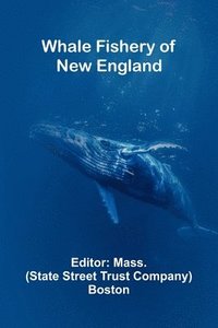bokomslag Whale Fishery Of New England