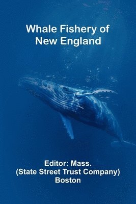 bokomslag Whale Fishery Of New England