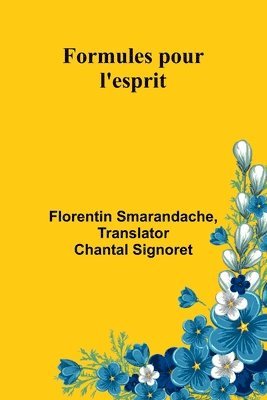 bokomslag Formules pour l'esprit